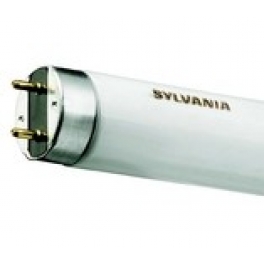 Fénycső 58W F840 G13